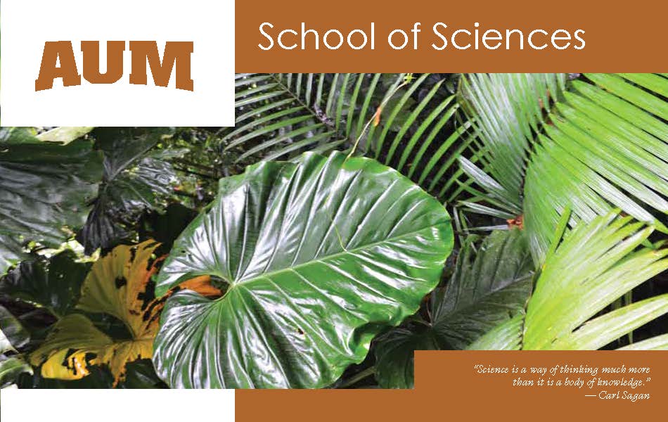 AUM School of Sciences